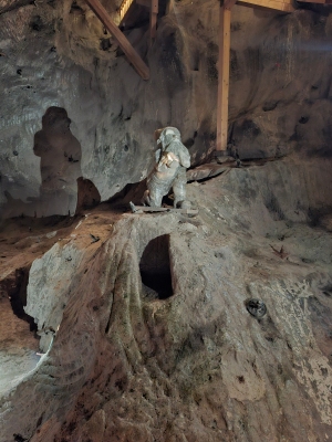 Wycieczka Dębno-Wieliczka