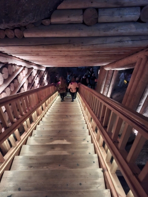 Wycieczka Dębno-Wieliczka