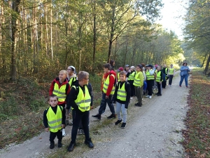 Wyjazd na zajęcia przyrodniczo-leśne klas 4 i 5a