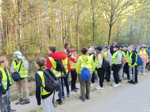 Wyjazd na zajęcia przyrodniczo-leśne klas 4 i 5a