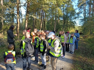 Wyjazd na zajęcia przyrodniczo-leśne klas 4 i 5a