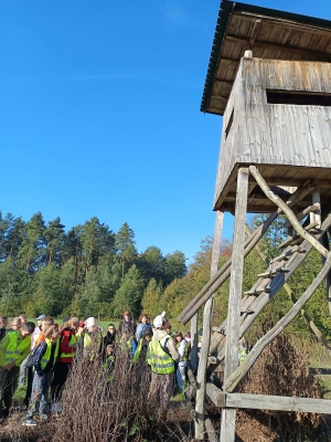 Wyjazd na zajęcia przyrodniczo-leśne klas 4 i 5a
