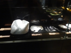 Wycieczka na Westerplatte