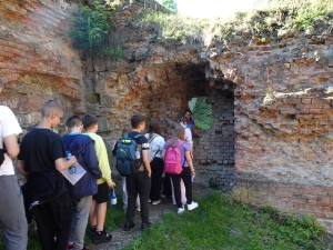 Wycieczka do Tarnowa kl. IV-VI