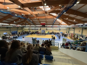 Powiatowe Targi Edukacyjne